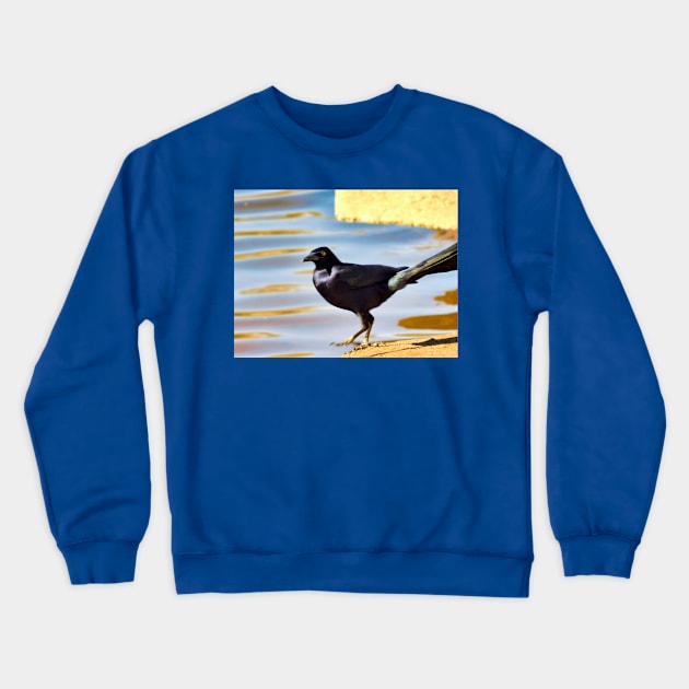 Testing the waters Crewneck Sweatshirt by FriendlyComputerHelp